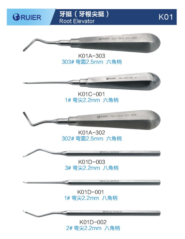 牙挺-牙根尖挺